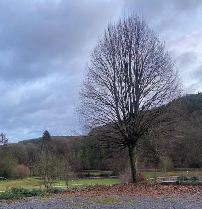 Le Ranch Des Aguesses Villa Andenne Luaran gambar