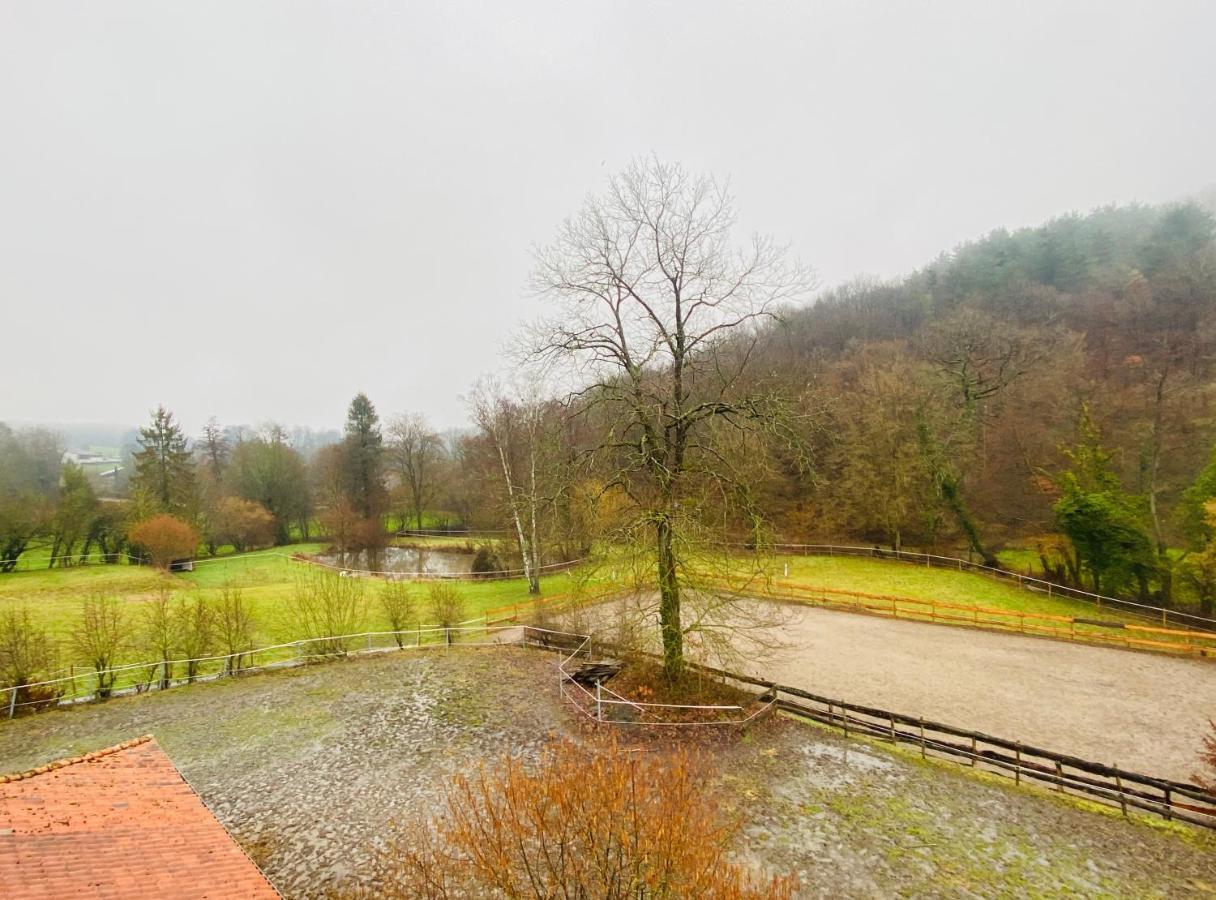 Le Ranch Des Aguesses Villa Andenne Luaran gambar