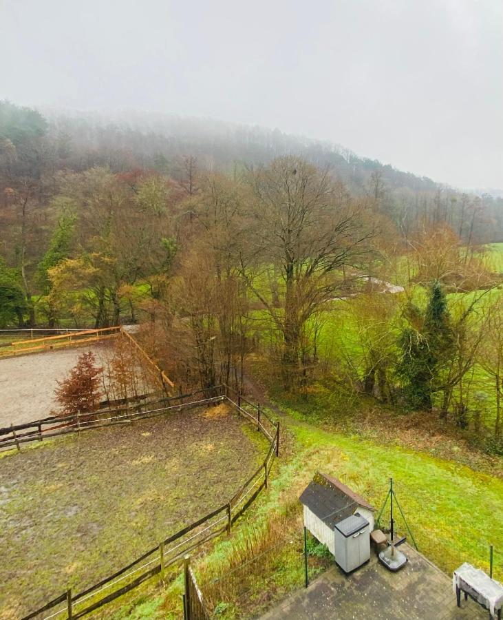 Le Ranch Des Aguesses Villa Andenne Luaran gambar