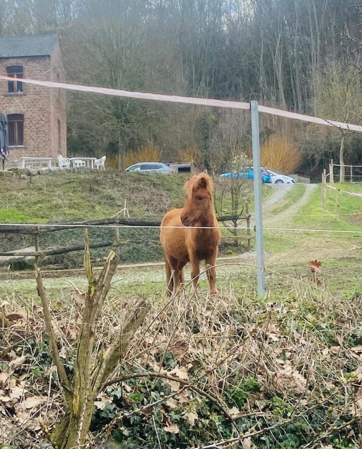 Le Ranch Des Aguesses Villa Andenne Luaran gambar